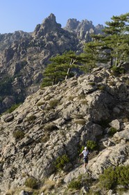 France, Corse du Sud, Alta Rocca, Via ferrata of the adventure park Corsica Madness, the Aiguilles de Bavella (Bavella Needles) in the background