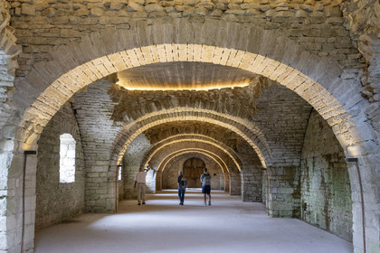 France, Côte-d'Or (21), Curtil-Vergy, ruines de l'abbaye Saint-Vivant de Vergy, l’ancien cellier des moines du prieuré clunisien
