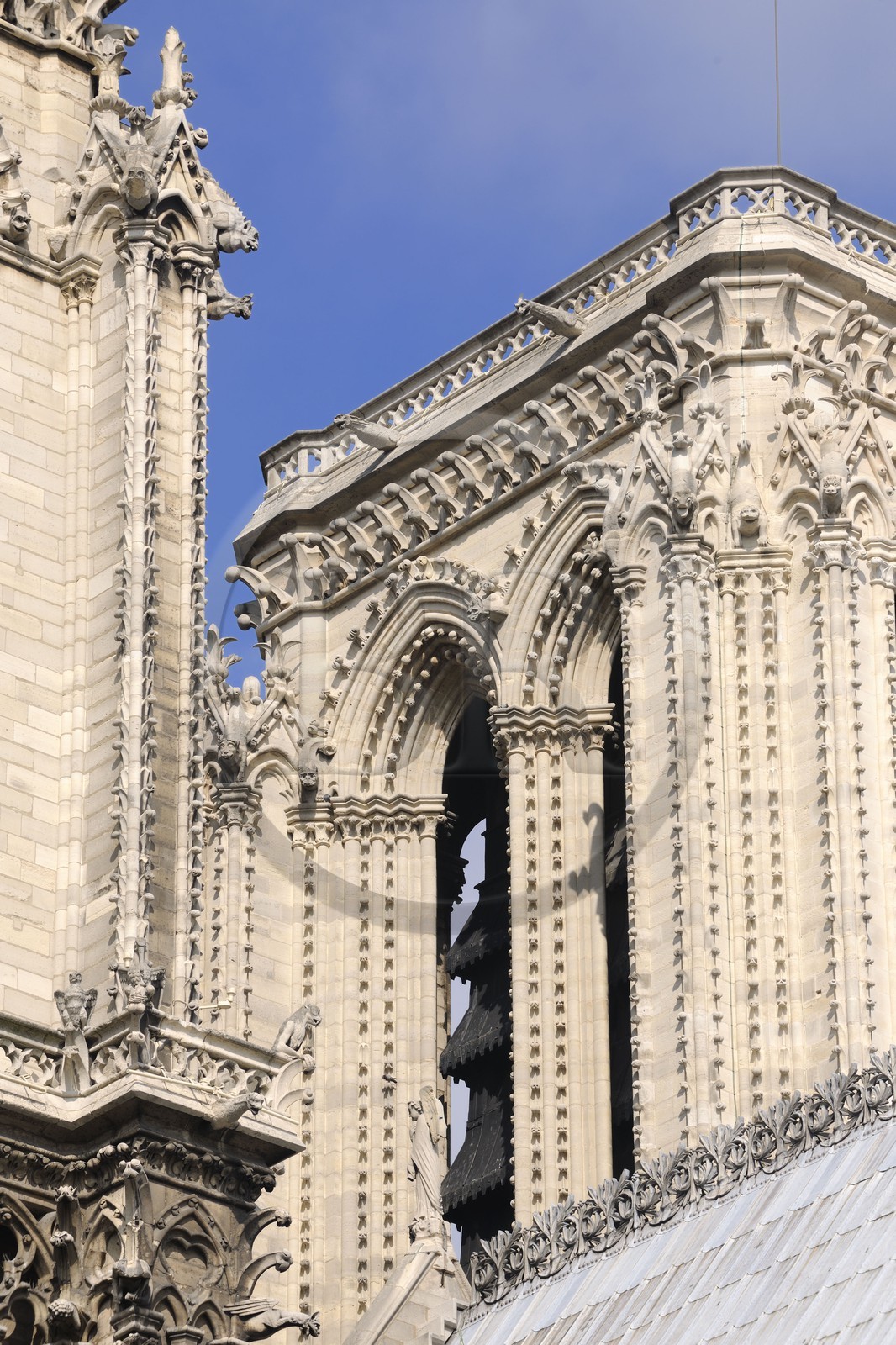 France, Paris, ile de la Cite, Notre-Dame Cathedral