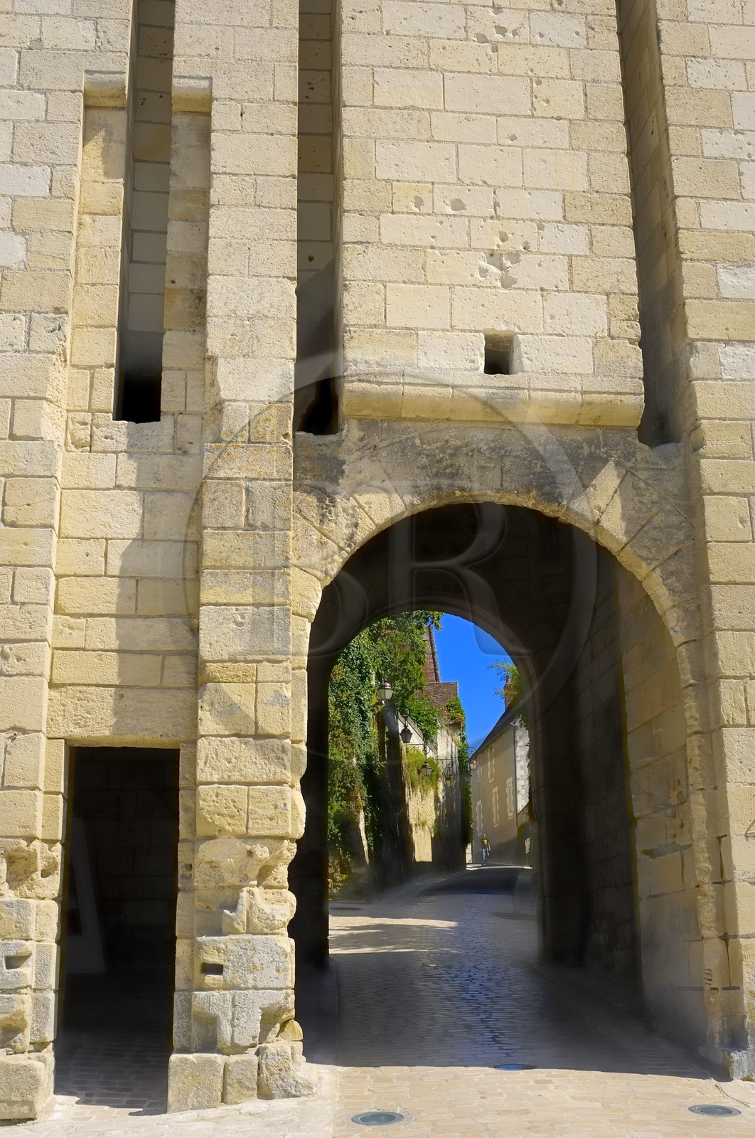 France, Indre et Loire, Loches, the castle Royal gate
