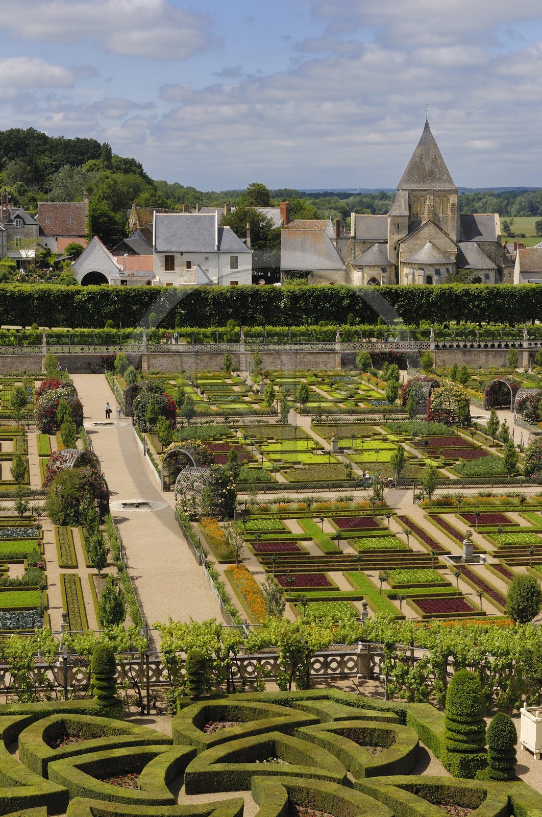 France, Indre-et-Loire (37), vallée de la Loire classée Patrimoine Mondial de l'UNESCO, les jardins à la française du château de Villandry, propriété d'Angélique et Henri Carvallo