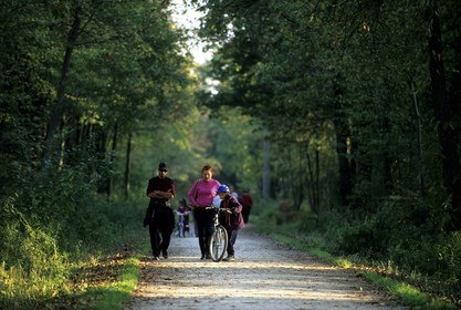 France, Val-de-Marne (94), forêt Notre-Dame