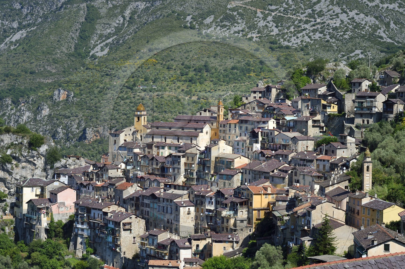 France, Alpes-Maritimes, Roya Valley (Nice hinterland), at the foot of the Mercantour National Park, Saorge