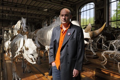 France, Paris (75), Jardin des Plantes, Museum National d'Histoire Naturelle, Galeries de Paléontologie et d'Anatomie comparée