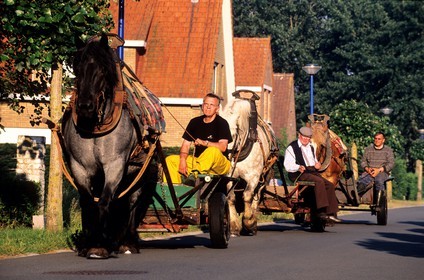 Belgique, Flandre-Occidentale, Oostduinkerke, les pêcheurs de crevettes traversent la ville sur leurs chariots pour se rendre à la mer