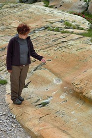 France, Alpes-Maritimes (06), parc national du Mercantour, vallée des Merveilles parsemée de milliers de gravures rupestres de l'Age de bronze, l'archéologue Nicoletta Bianchi devant la figure anthropomorphe gravée sur la roche dite du Sorcier sur les dalles de schiste jaune des chiappes