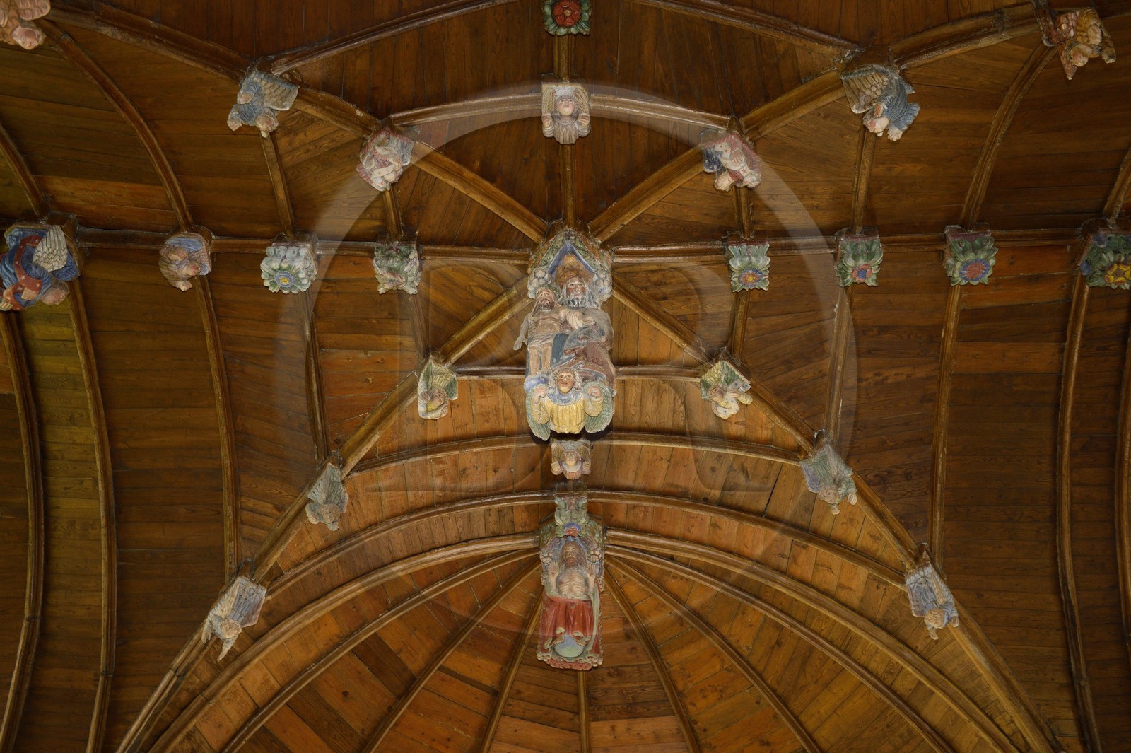 France, Côtes-d'Armor (22), église de Loc-Envel, sculptures peintes en bois sur la sablière décorant la voûte (16ème siècle)