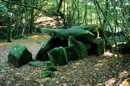 France, Mayenne (53), dolmen de la Contrie près d'Ernée