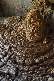 France, Reunion island (French overseas department), Saint-Louis, Le Gol sugar factory using sugar cane, residues of crystallization molasses