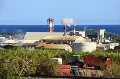 France, Reunion island (French overseas department), Saint-Louis, Le Gol sugar factory behind the sugar cane fields