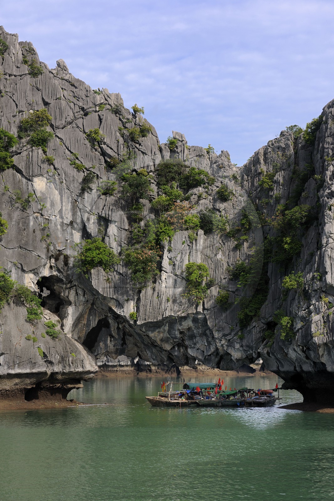 Vietnam, province de Quang Ninh, la Baie d'Halong classée Patrimoine Mondial de l'UNESCO, regroupement de bateaux de pêche sous une arche naturelle d'un ilot calcaire