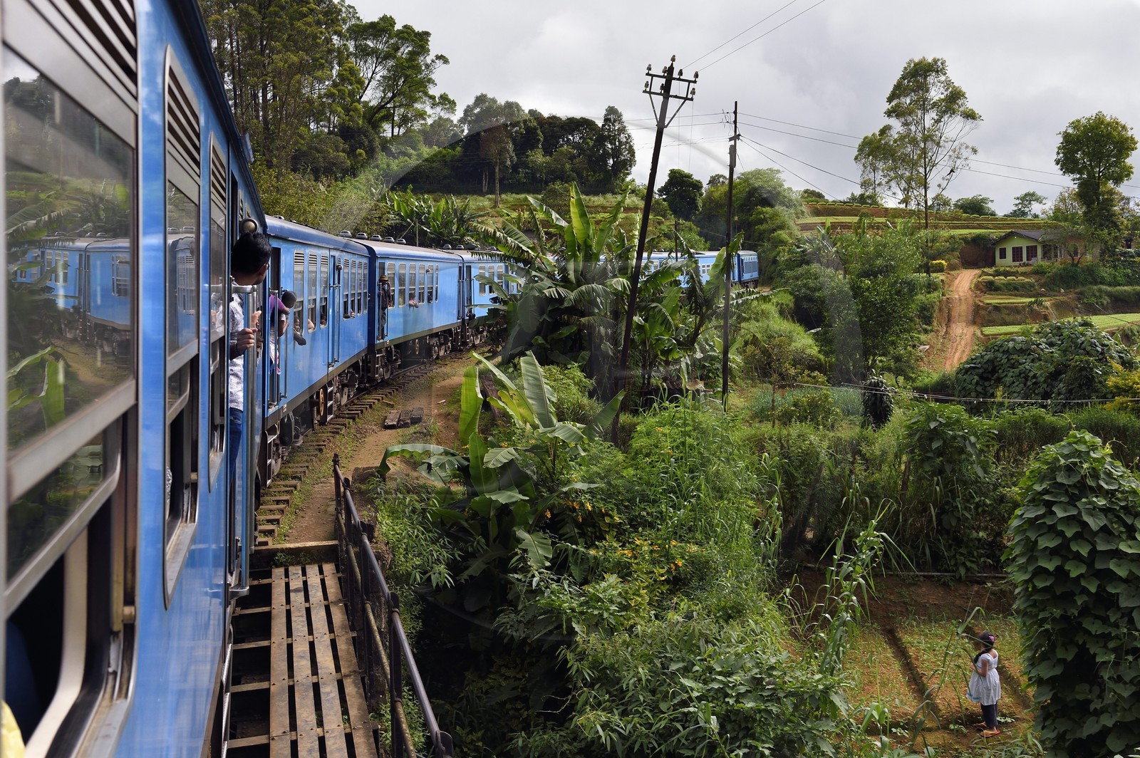 Sri Lanka, Province du Centre, trajet en train dans la région montagneuse de la culture du thé entre Hatton et Ella, franchissement d'un pont à Perakumpura Sub