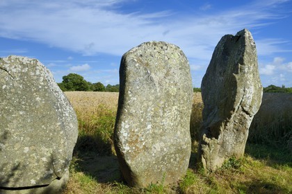 France, Morbihan (56), Erdeven, menhir de Kerzérho
