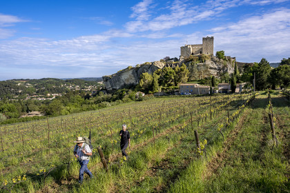 France, Vaucluse (84), Dentelles de Montmirail, Vaison-la-Romaine, le chateau des Comtes de Toulouse construit au XIIe siècle au sommet de la cité médiévale, randonneurs dans les vignes