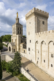 France, Vaucluse (84), Avignon, la cathédrale des Doms et le Palais des Papes classés Patrimoine mondial de l'UNESCO