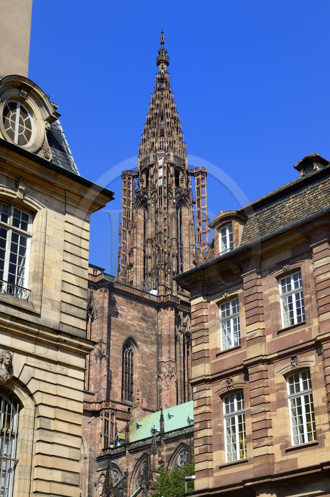 France, Bas-Rhin (67), Strasbourg, vieille ville classée au Patrimoine Mondial de l'UNESCO, la cathédrale Notre-Dame