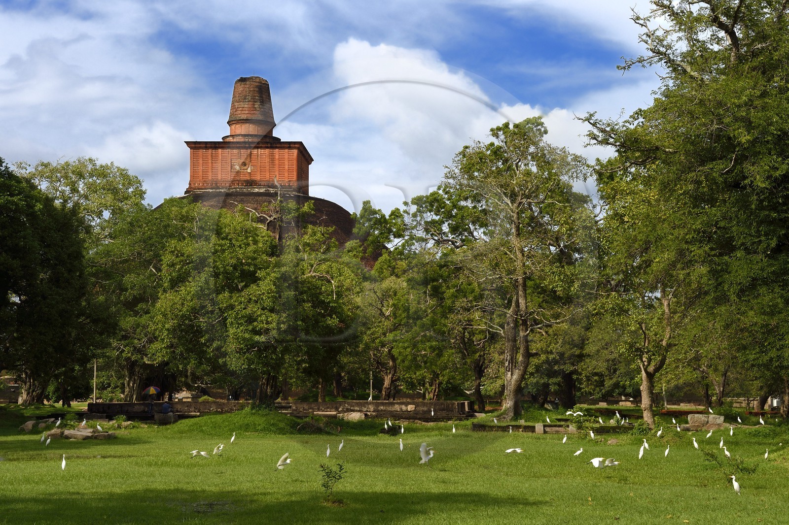 Sri Lanka, Sri Lanka, North Central Province, Anuradhapura archeological site listed as World Heritage by UNESCO, former capital of Sri Lanka at 3rd century BC, Jethawana stupa (Jetavanaramaya dagoba) located in the ruins of Jetavana Monastery