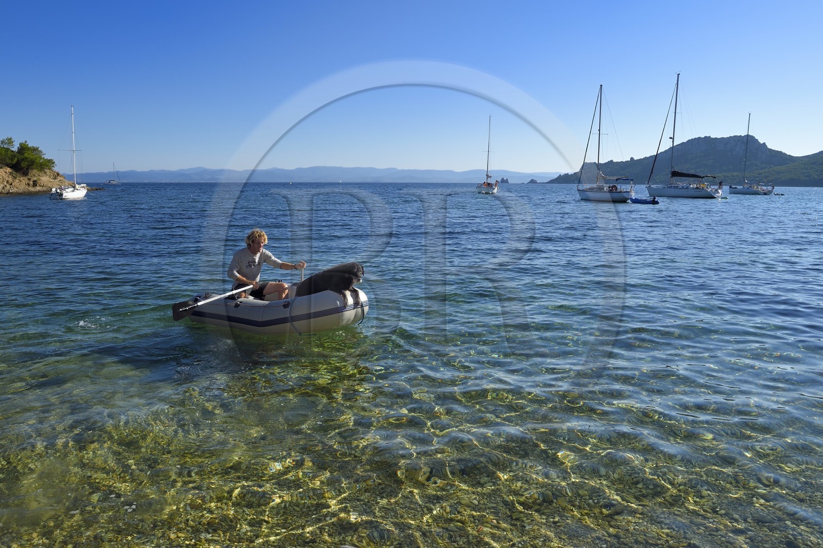 France, Var, Iles d'Hyeres, Parc National de Port Cros (National park of Port Cros), Porquerolles island, Alycastre beach in Alycastre Bay, Jean-Pierre and his dog Carbone who will join his sailboat Sun Fast 37 in the annex