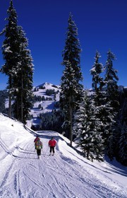 Suisse, région de Bern (Oberland Bernois), Saanenland, piste de ski sur les hauteurs de Gstaad
