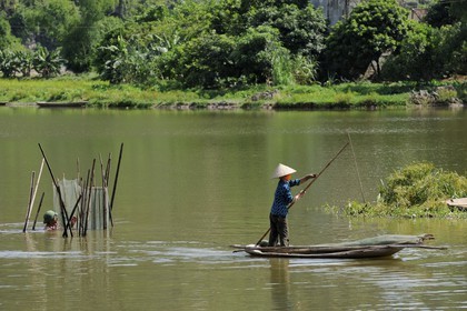 Vietnam, Ninh Binh province, implantation of fish nets in the river