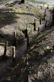 France, Meuse, Douaumont, battle of Verdun, boyau de Londres (London trench),  this artery of communication made in 1917 connected Fort Douaumont to the rear lines