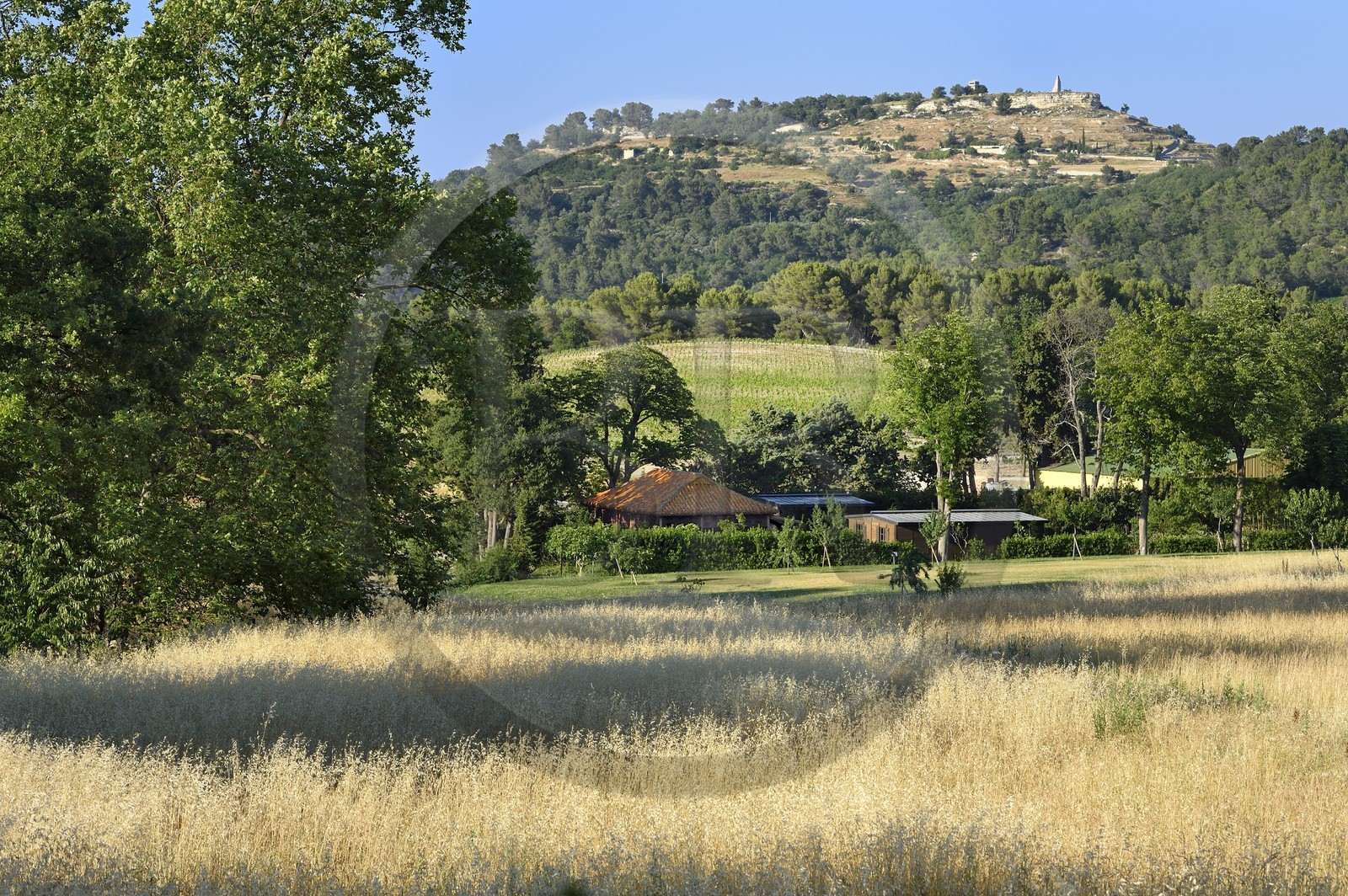 France, Bouches-du-Rhône (13),  Le Puy Sainte Réparade, Chateau La Coste domaine viticole et centre d'art contemporain, Pavillon de Thé Vietnamien