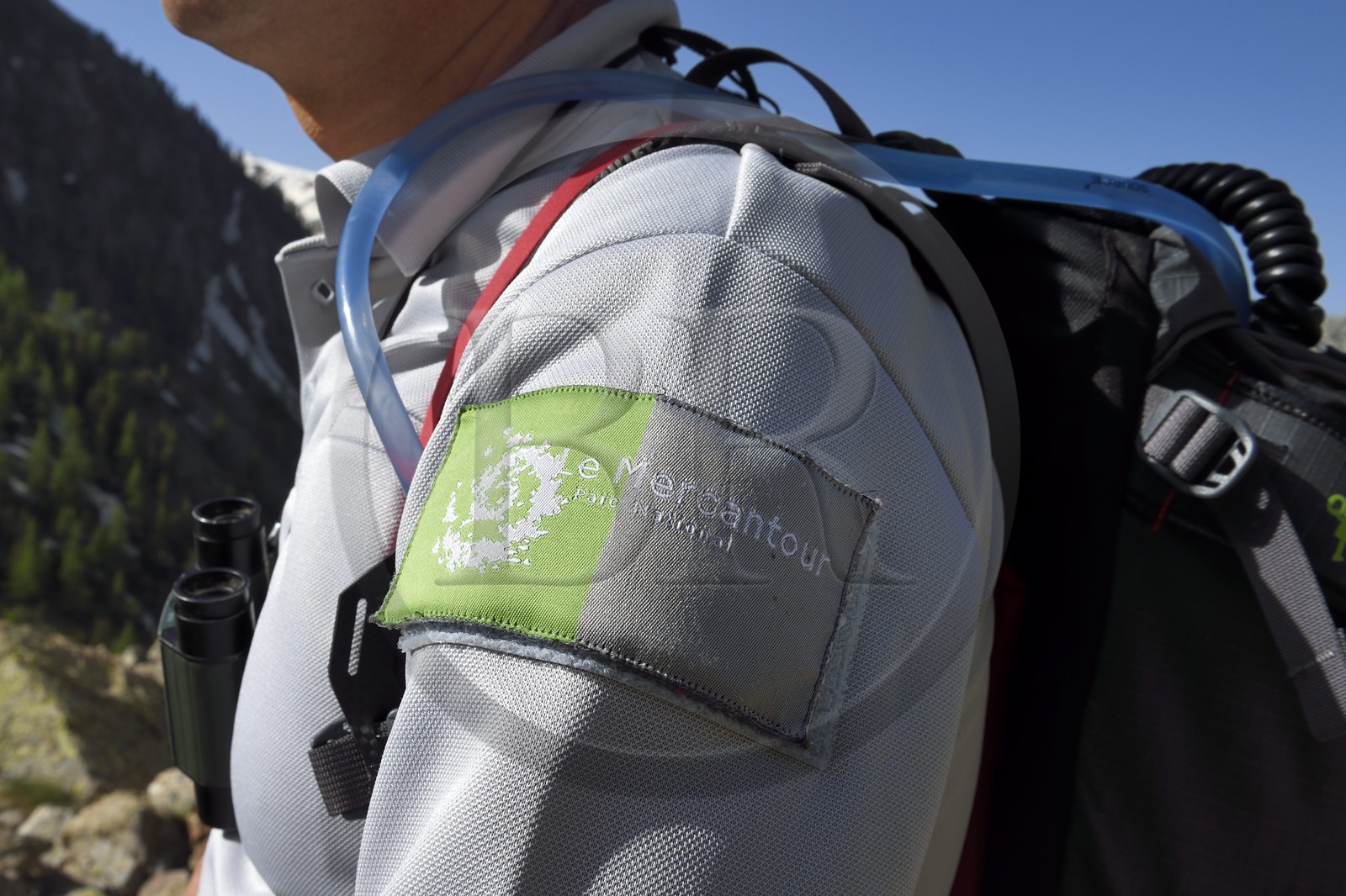 France, Alpes-Maritimes (06), parc national du Mercantour, Haute-Vésubie, vallon de la Madone de Fenestre, uniforme des gardes-moniteurs du parc