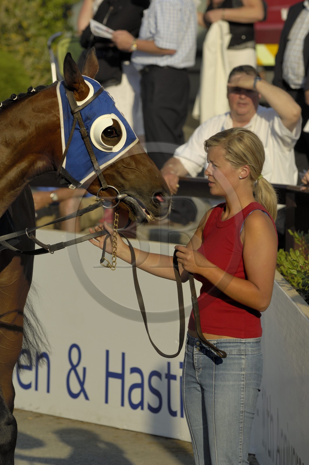 Irlande, Co. Meath, hippodrome de Fairyhouse, présentation des chevaux avant la course