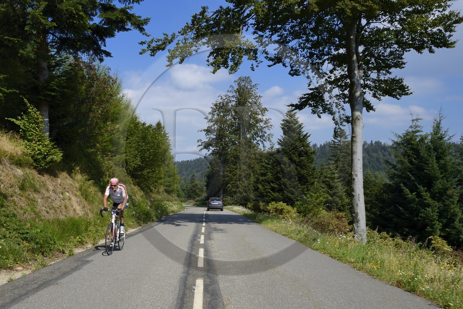 France, Loire (42), Parc Naturel Régional du Pilat,