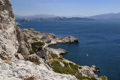France, Bouches-du-Rhône (13), Marseille, Parc National des Calanques, Archipel des Iles du Frioul, Ile de Pomègues et la skyline de Marseille en arrière plan