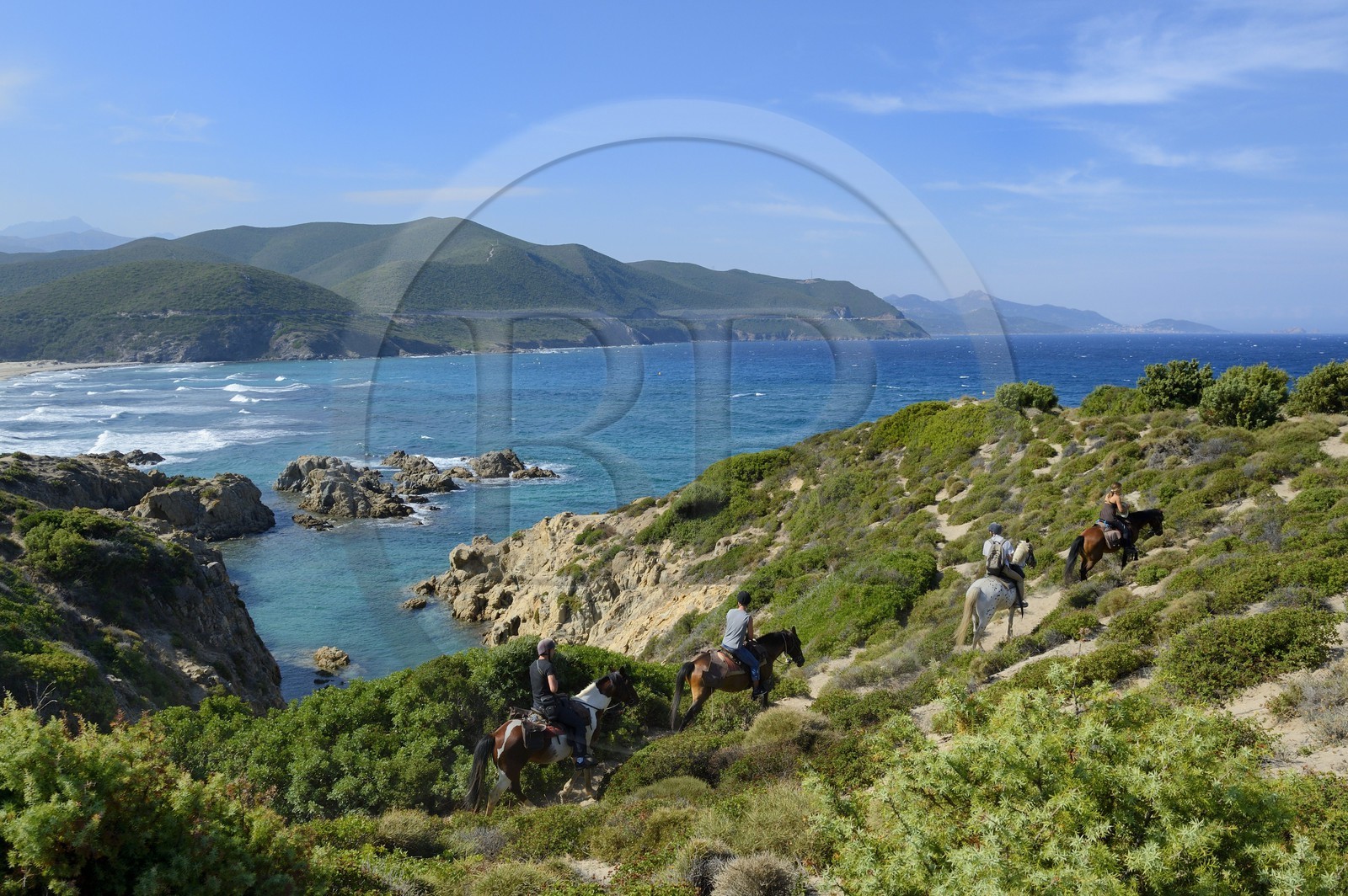 France, Haute-Corse (2B), Nebbio, désert des Agriates, Anse de Peraiola, cavaliers à l'Est de la plage d'Ostriconi