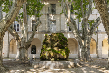 France, Vaucluse (84), Avignon, noviciat des jésuites Saint-Louis, le cloitre, accueil aujourd'hui un hôtel et l'Institut supérieur des techniques du spectacle d'Avignon ainsi que des expositions