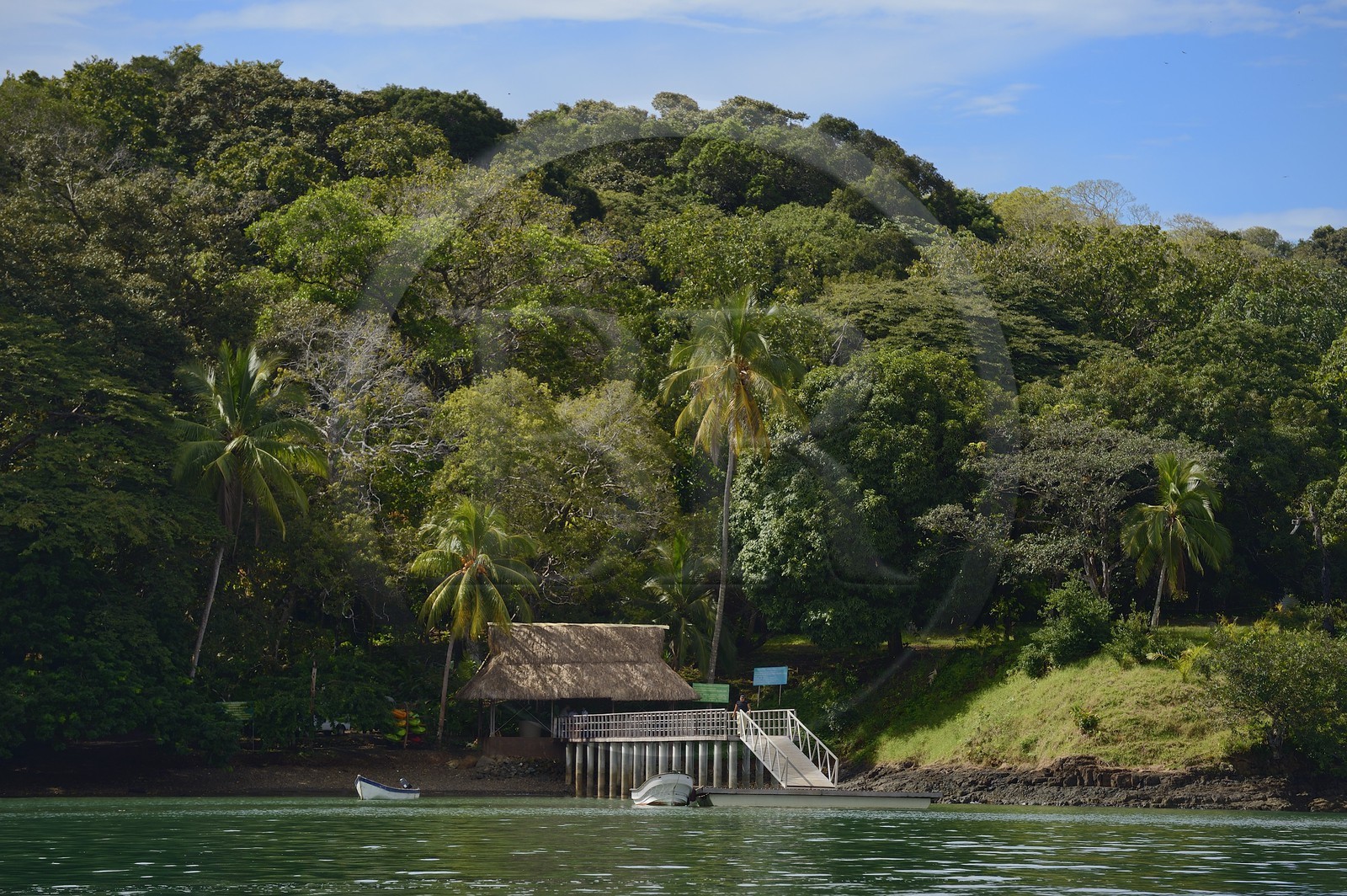Panama, province de Chiriqui, Parc national marin du Golfe de Chiriqui, Isla Palenque