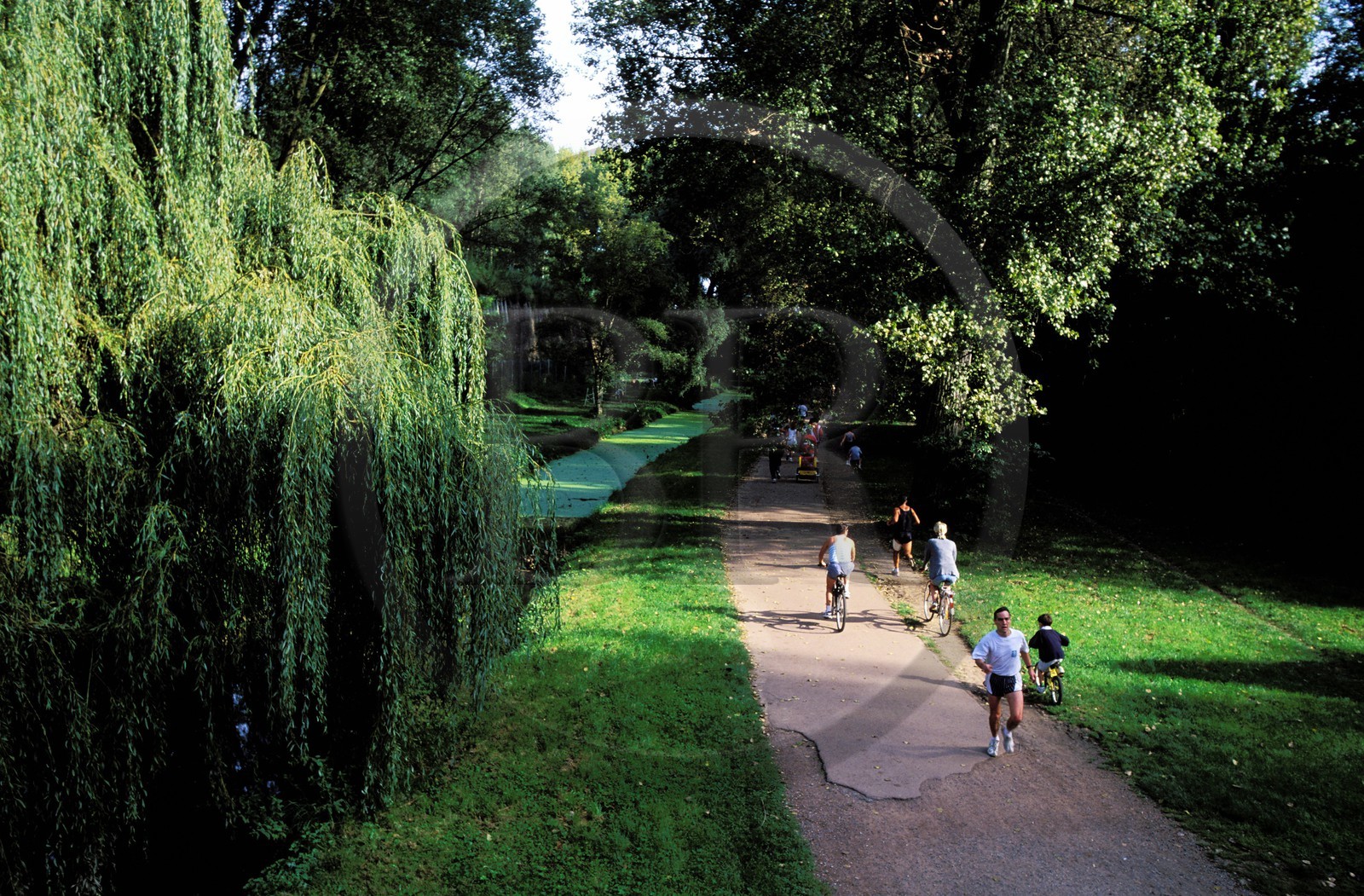 France, Nord (59), Lille, la citadelle Vauban et son parc, paradis des joggeurs et autres promeneurs