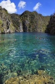Philippines, Calamian Islands dans le nord de Palawan, Coron Island Natural Biotic Area, le lac Kayangan entouré de falaises abruptes et formations rocheuses karstique en calcaire du Permien