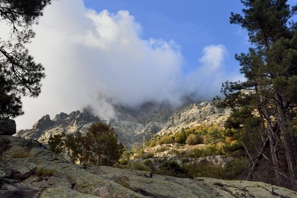 France, Haute-Corse (2B), Vivario, GR 20, étape entre le refuge de l'Onda et Vizzavona, foret de Vizzavona, les cascades des anglais, groupe de cascades dans la vallée de l'Agnone au pied du Monte d'Oro