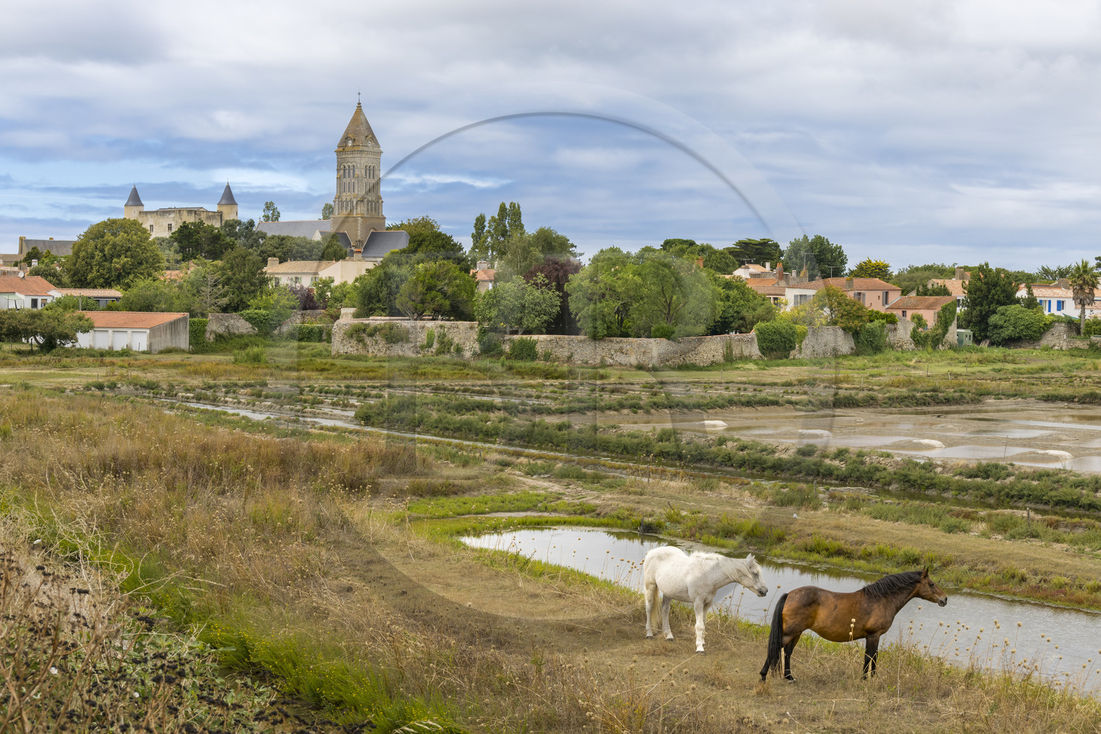 France, Vendée (85), île de Noirmoutier, Noirmoutier-en-l'Ile, les marais du Müllembourg, le château et l'église Saint-Philbert