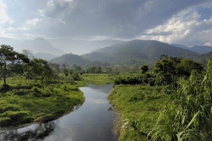Brésil, Etat de Rio de Janeiro, le Rio Barra Grande qui descent des montagnes du Parque Nacional de Serra da Bocaina en bordure de la baie de Paraty (Route de l'or, Estrada Real)
