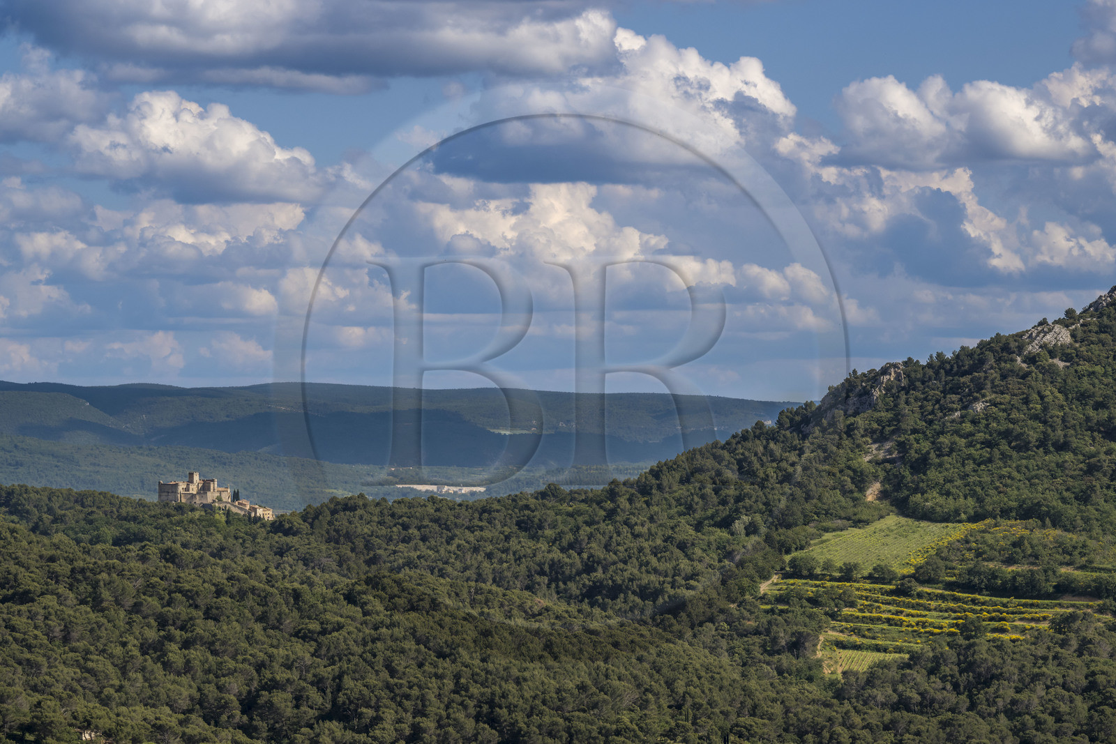 France, Vaucluse (84), Dentelles de Montmirail, Le Barroux, le chateau du Barroux émergeant de la forêt