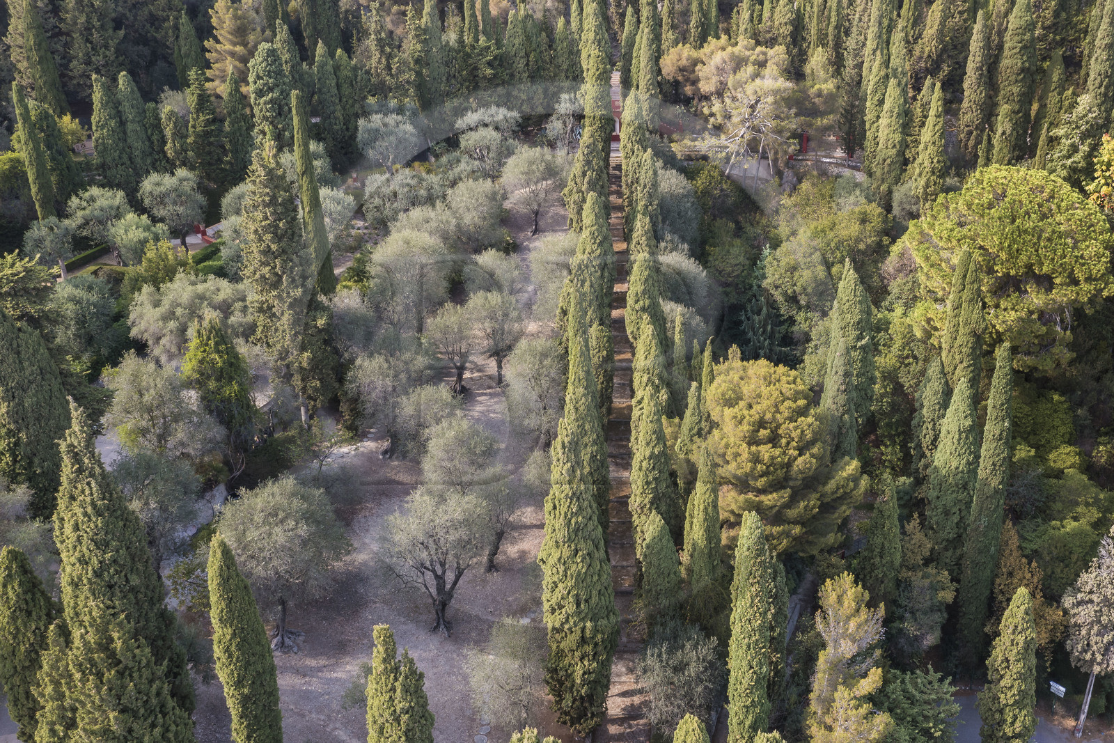 France, Alpes-Maritimes (06), Menton, le jardin du Domaine des Colombieres, vue sur la ville depuis le domaine (vue aérienne)