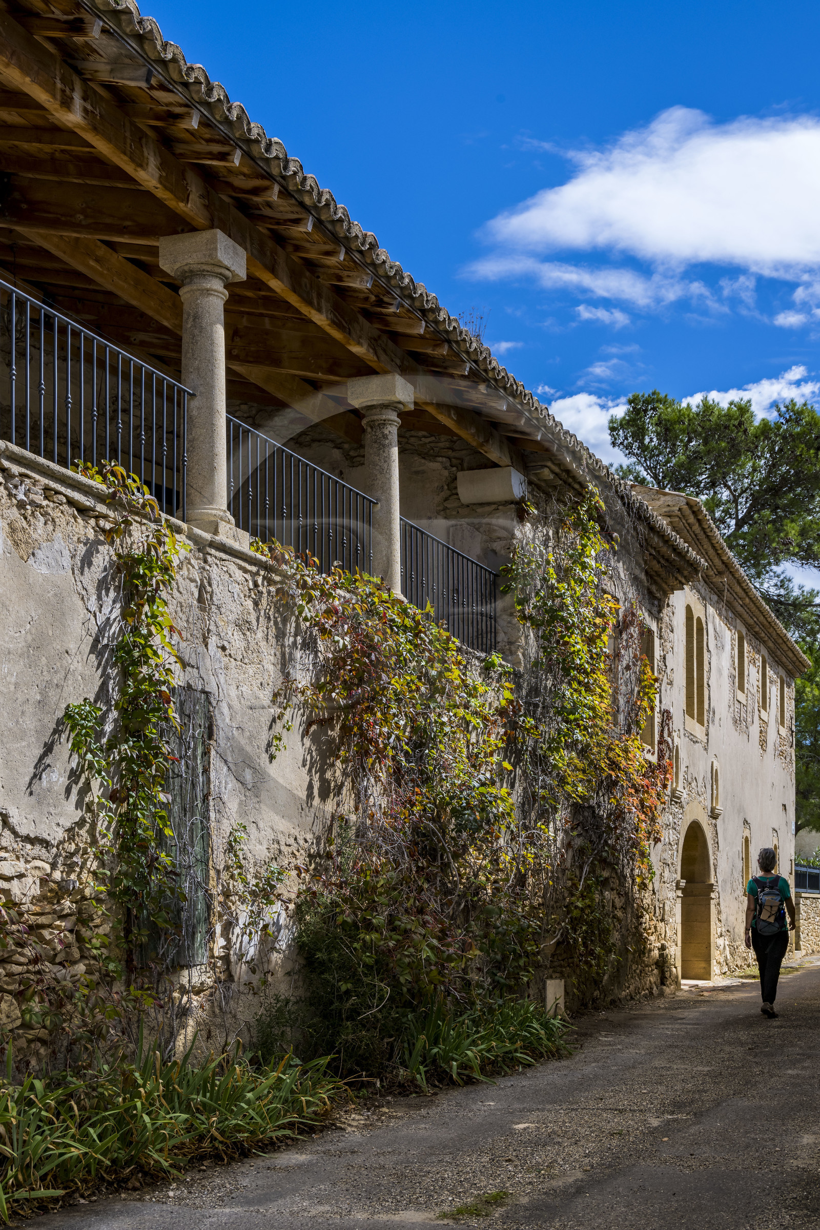 France, Gard (30), Saint-Maximin, village sur le chemin longeant le tracé de l'aqueduc romain de Nimes, maison à colonnes rue des Aires