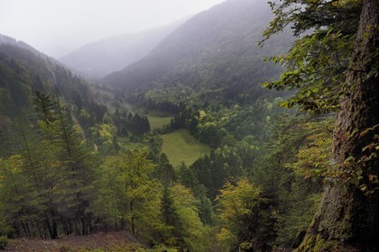France, Haut-Rhin (68), Parc naturel régional des ballons des Vosges, la vallée de Storckensohn à l'ouest de Fellering