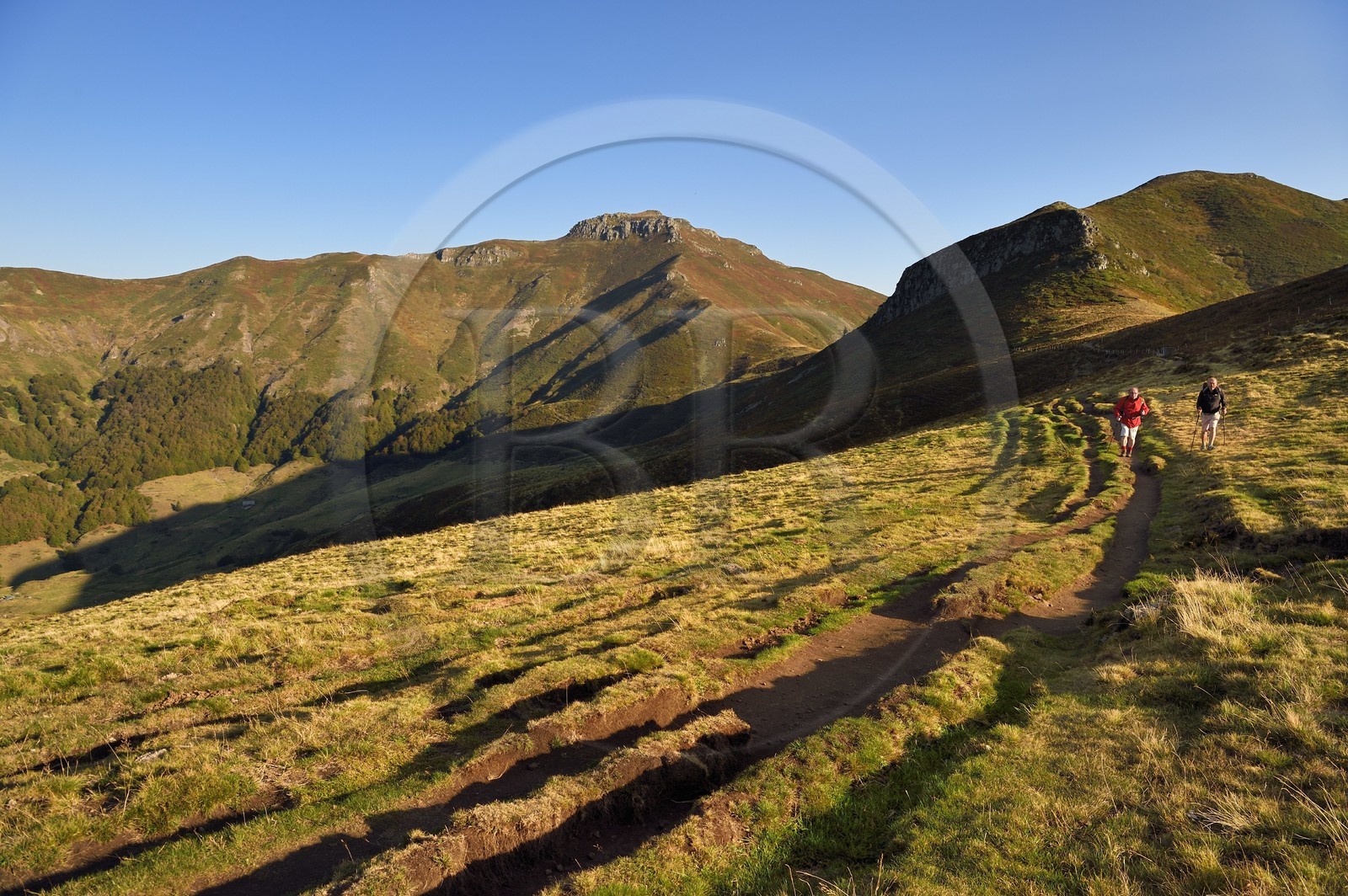 France, Cantal (15), Parc Naturel Régional des Volcans d'Auvergne, Le Lioran, col de Rombière, randonneurs sur le chemin de Saint-Jacques de Compostelle par la Via Arverna, le puy de Peyre Arse à gauche puis le col de Cabre et le Puy Bataillouse à droite en arrière plan