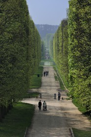 France, Yvelines (78), parc du château de Versailles, classé Patrimoine Mondial de l'UNESCO, allée menant au Grand Canal