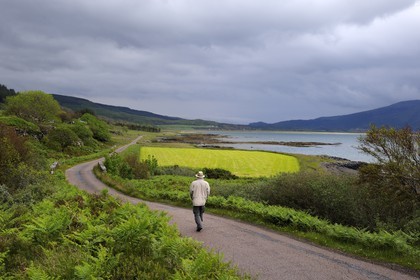 Royaume-Uni, Ecosse, Highland, Hébrides intérieures, Ile de Mull, Loch na Keal