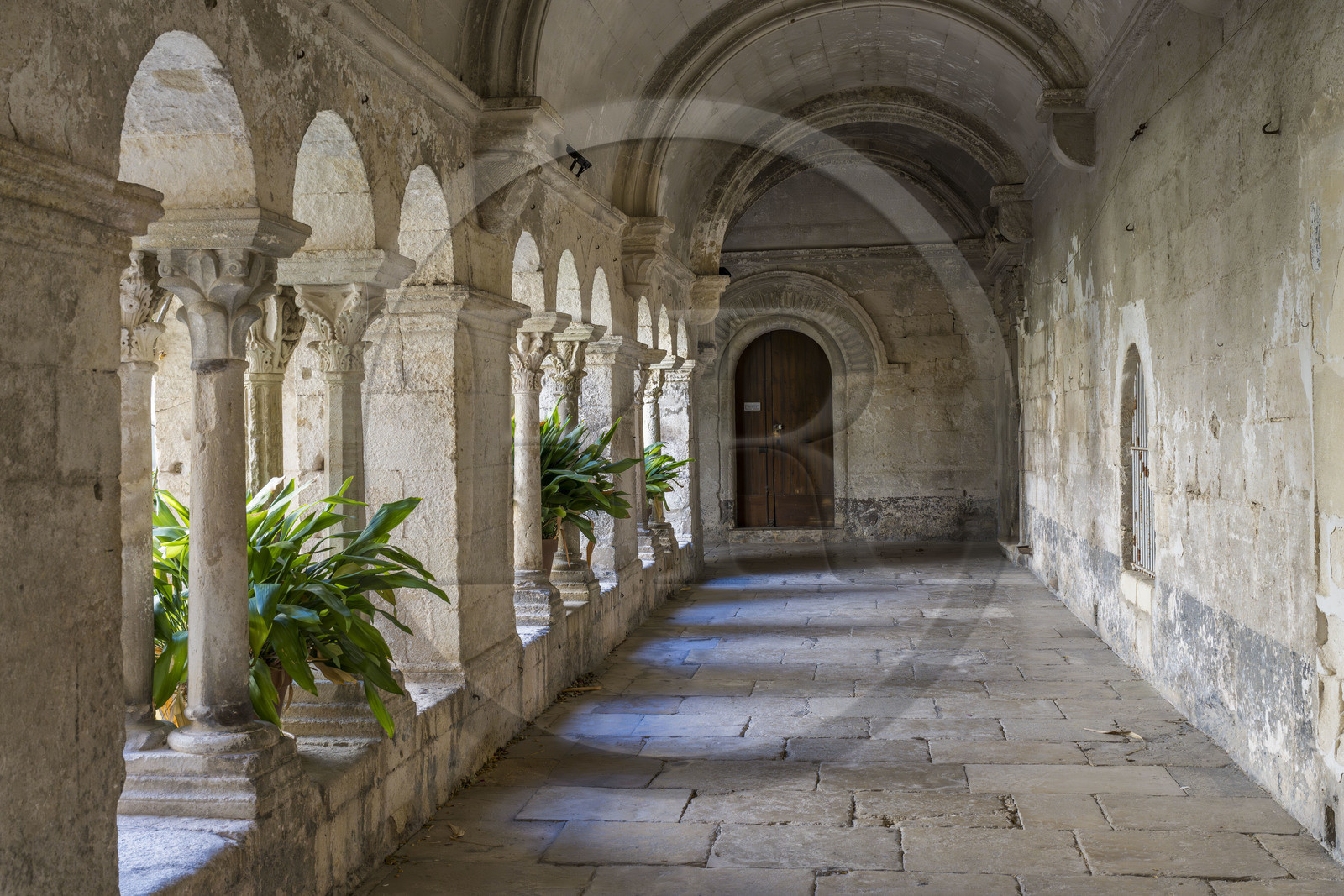 France, Bouches-du-Rhône (13), Parc Naturel Régional des Alpilles, Saint-Rémy-de-Provence, monastère Saint-Paul-de-Mausole, où Van Gogh fût interné en 1889-1890, le cloitre roman du 11e et 12e siècle