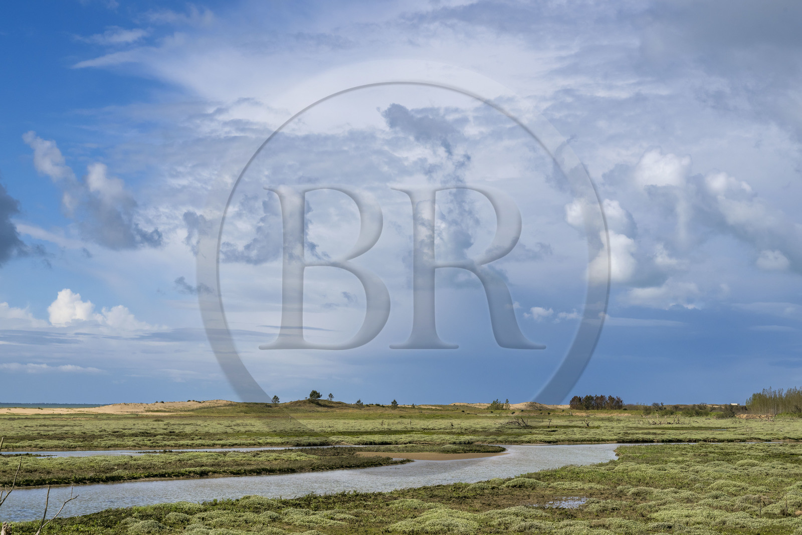France, Vendée (85), La Tranche-sur-Mer, Réserve naturelle de la Casse de la Belle Henriette, l'une des dernières véritables lagunes de la côte atlantique
