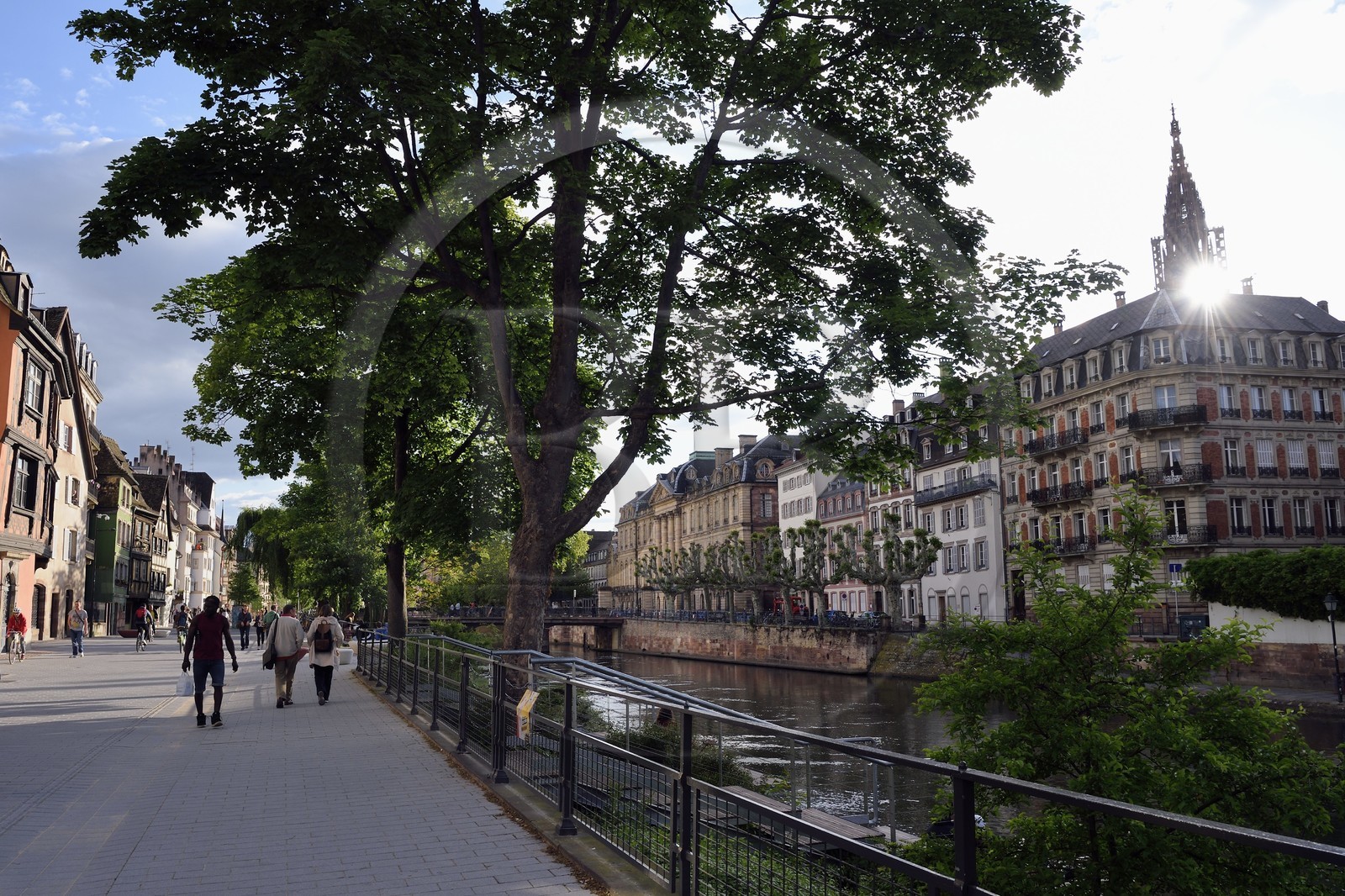 France, Bas-Rhin (67), Strasbourg, vieille ville classée Patrimoine Mondial de l'UNESCO, les bords de l'ill quai des Bateliers transformé en zone de rencontre réservée aux piétons et la cathédrale
