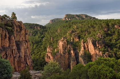 France, Var (83), entre Bagnols-en-Forêt et Roquebrune-sur-Argens, les Gorges du Blavet