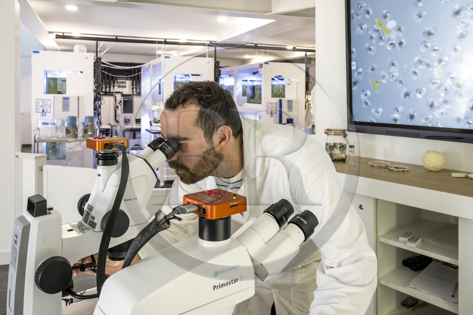 France, Finistère, Brest, Océanopolis, museum of the sea, Océanolab involves bringing together scientists and citizens around research projects in marine ecology in the context of climate change, pollution and the erosion of biodiversity.